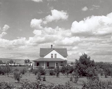 The Farmhouse 