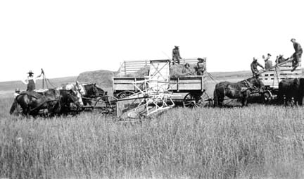 Harvesting
