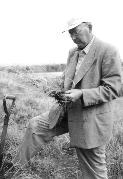 William L. Tolstead